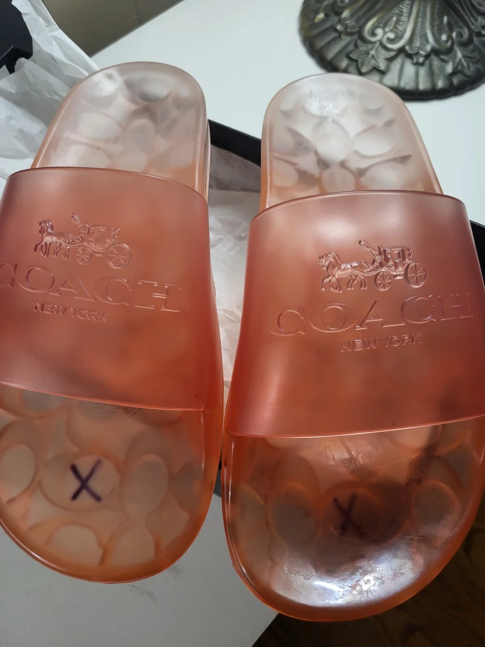 Coach transparent coral